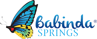 Babinda Springs